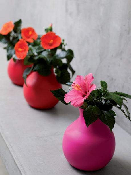 Colour Drops-trend av Floradania Marketing: grå urban minimalism med färgstarka accentfärger (gul, lila, orange, röd, grön, mörkrosa), växter som Gerbera, Kalanchoë och Hibiscus i matchande ytterkrukor.