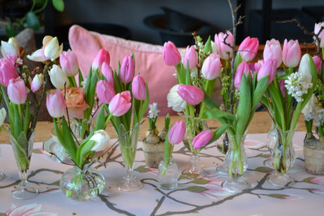 Duka med svenskodlade tulpaner – vårens färgsprakande budbärare; närproducerad, klimatsmart tulpanbukett som håller länge med rätt skötsel