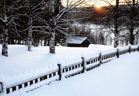 Vinter i Norrbotten: snötäckt trädgård i Luleå med växthus, LED-belysning och bubbelplast-isolering – Elsa Rensfeldt Larssons krönika från norr december 2004 om trädgårdsodling, snöskydd, tålamod och drömmar.