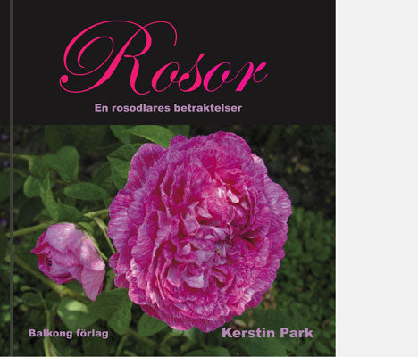 Bokomslag till Rosor – En rosodlares betraktelser av Kerstin Park: odling av rosor, äldre sorter, rosdoft, kulturhistoria och nyponrecept.