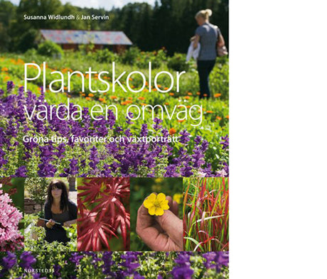 En utflykt till plantskolan i Sverige – grön inspiration för trädgårdsturism med odlingsidéer, tips, favoriter och växtporträtt från Plantskolor värda en omväg.
