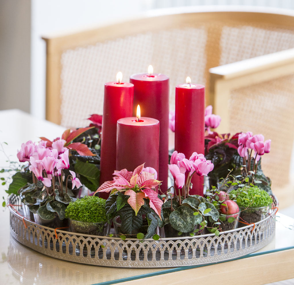 Adventsdekoration med julstjärna (Euphorbia) och cyklamen, arrangerade som adventskrans med mossa, lavklädda grenar, ljushållare och blockljus för mysig julstämning.