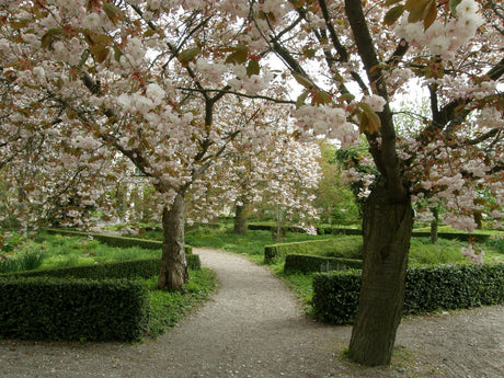 Välkomnande entré i Gunnars trädgård i Alnarp – trädgårdens första rum med grusad gång, lummiga växter, mur/plank och pergola; en funktionell och estetisk framsida av Vi tre & trädgård.