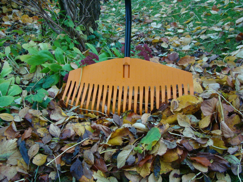 Fiskars ergonomisk lövräfsa med S-format skaft – extra bred 510 mm med 25 plastpinnar – skonsam för rygg och axlar vid effektivt trädgårdsarbete på gräsmatta.