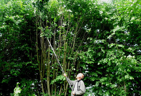 Test av Fiskars universalklippare: stångsekatör UP82, UP84, UP86 med teleskopskaft, vridbart huvud, låg vikt och 32 mm klippkapacitet; lång räckvidd för beskärning i trädgård.