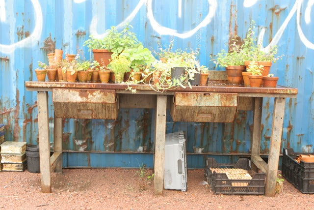 Gatsmart odling i stan inspirerad av Ulrika Flodin Furås – stadsodling på balkong eller terrass med ätbara växter (kryddor, tomatplanta, sallad, rädisor), hållbart odlande som gynnar pollinerare; Koloniträdgården.