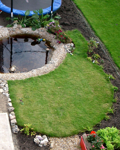Liten, kortklippt gräsmatta i trädgård – barfotavänlig yta för lek och vila; balans med blomsteräng för ökad biologisk mångfald, klippt med kantsax.