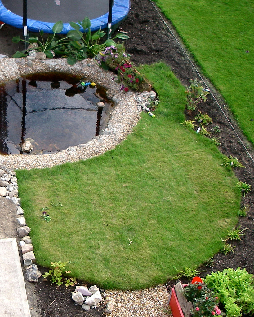 Gräsmatta i trädgård med ekologiskt perspektiv: liten barfotavänlig yta för lek och vila, omgiven av blomsteräng och buskage som gynnar biologisk mångfald och pollinatörer; balans mellan klippta och vilda ytor som svalkar och absorberar regnvatten.