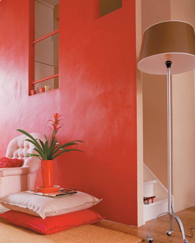 Juvelblomma (Guzmania) i inredning – färgstark bromeliaväxt och krukväxt från tropiska Amerika med högblad och bladrosett; epifyt i Bromeliaceae som trivs ljust utan direkt sol, hög luftfuktighet och kalkfritt vatten.