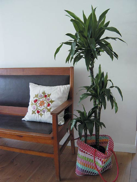 Luftrenande växter med hög avdunstningsgrad för bättre inomhusluft: Guldpalm, Fredskalla och Spjutbräken som reducerar formaldehyd och bensen i hem och kontor.