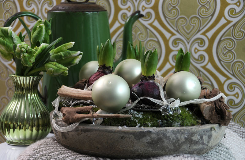 Hyacint i kruka som del av julens lökblommor – svensk hyacint med doftkod. Skötselråd: vattna sparsamt, ställ svalt nattetid. Skapar julstämning med amaryllis, tazetter och iskonvaljer.