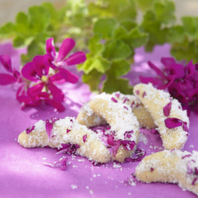 Doftpelargoner i köket: pelargonblad för matlagning och bakning – Attar of Roses, Sweet Mimosa, Orange Fizz; pelargonsocker och dekoration till tårtor och desserter