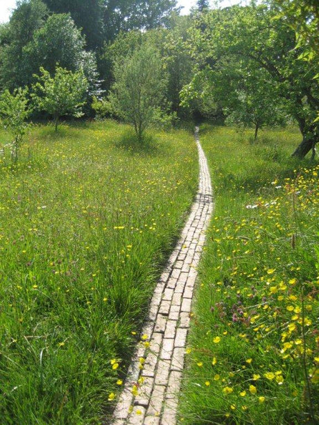 Landscape designer assessing a winter garden during a consultation—leafless trees reveal structure—for long-term, sustainable garden planning in Helsingborg by Snitsig Trädgård & Landskap AB