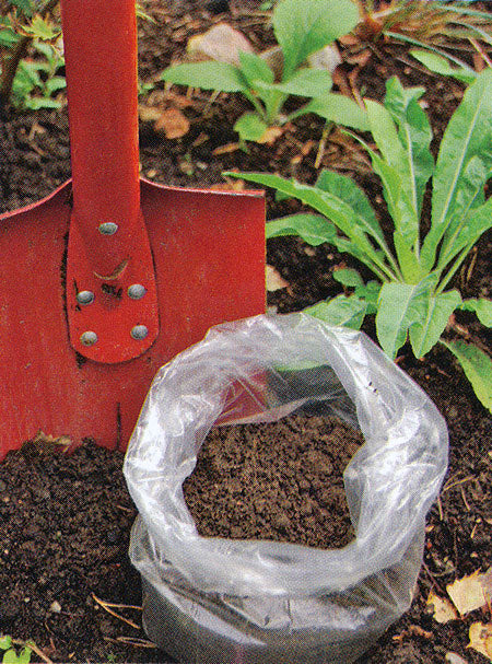 Jordanalys i trädgård – jordprov och analysrapport för gräsmatta och rabatt som visar pH‑värde, ledningstal, mullhalt, jordart och näringsämnen för rätt gödsling och kalkning i en frisk trädgård.