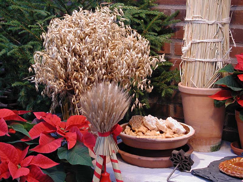 Julkärve vid entrén i snötäckt trädgård – julklappstips för trädgårdsintresserade: fröer, minidrivhus, trädgårdsbelysning och sekatör