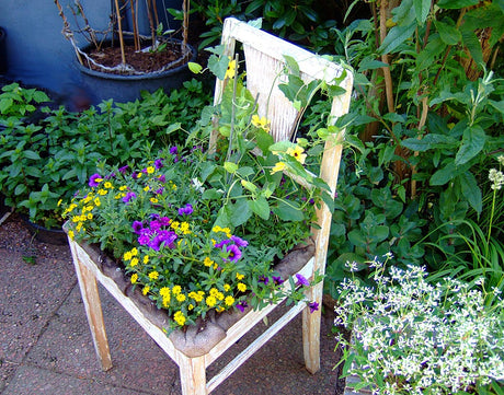 Kryddkrukor och återbrukad stol som planteringskärl i trädgården – inspiration till sensommarens kompostering för näringsrik kompostjord, torka kryddor och biologisk mångfald.