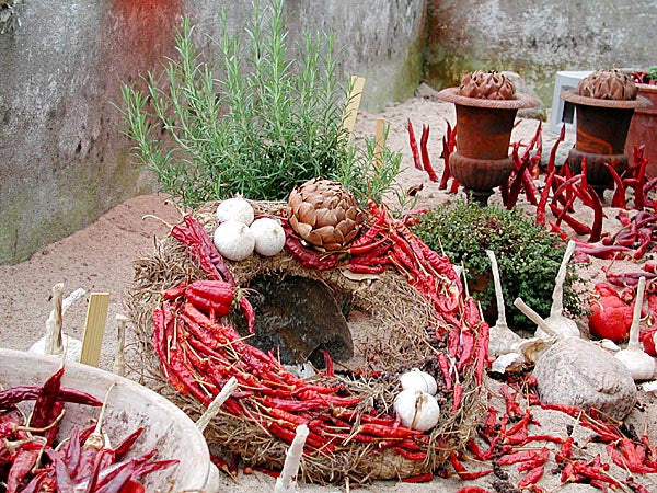 Chili ’Variegata’ i kruka på balkongen – sådd i såjord, avhärdning och övervintring; odla chili med miniväxthus, extraljus och gödselvattning; capsaicin och Scoville.