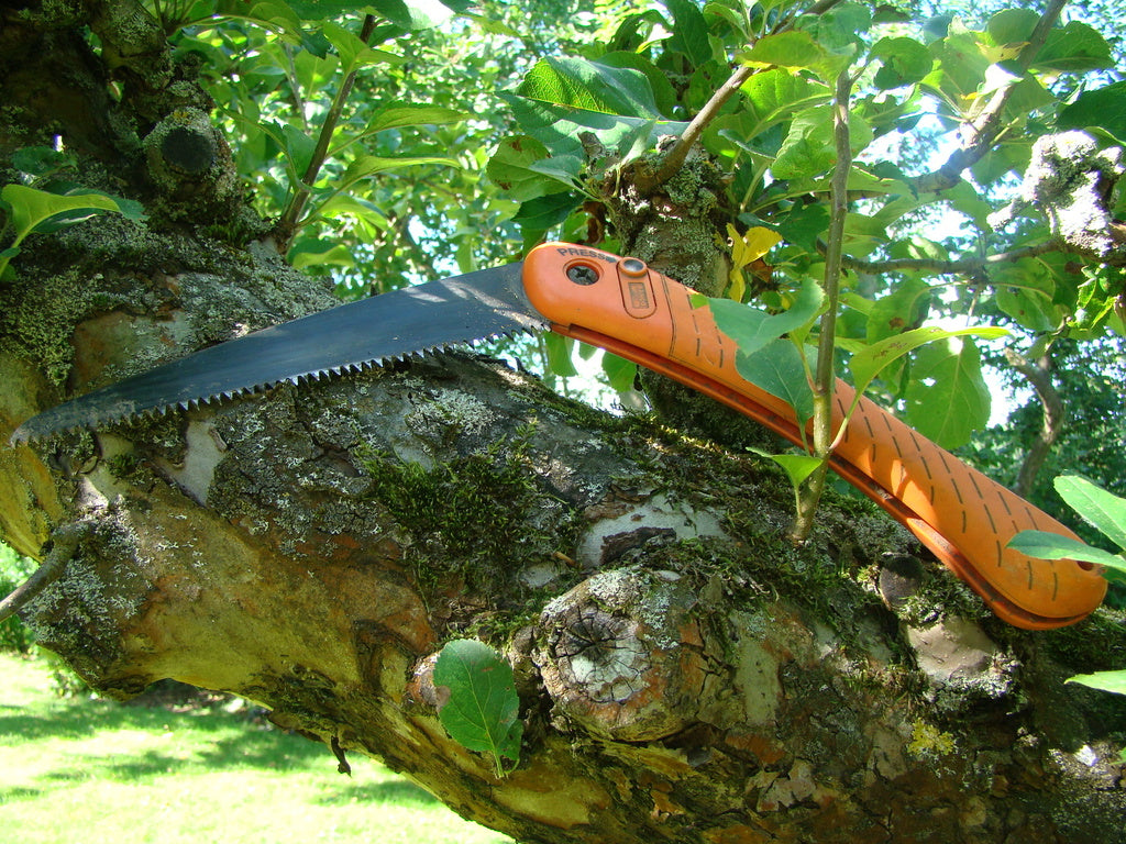 Liten manuell grensåg för trädvård – smidig kort modell med fint skär för beskärning av grenar i träd och buskar, ger jämna snittytor som läker snabbt och minimerar sjukdomsrisk; utbytbart blad för lång livslängd.