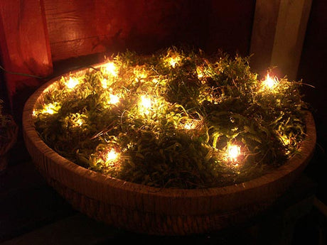 Skimrande ljusslingor på ljusfat med mossa, grus och små lerkrukor – stämningsfull dekor för inomhus och utomhus enligt Sylvia Svenssons tips.