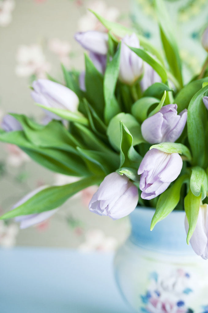 Ljuslila tulpaner i bukett – Sveriges mest älskade snittblomma och tidigt vårtecken; svenskodlade tulpaner i tulpansäsongen från januari till påsk, perfekta för Tulpanens dag, med skötselråd för längre hållbarhet.