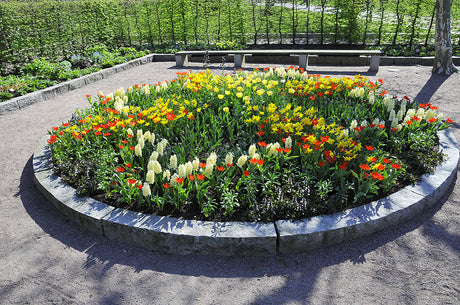 Inspirerande rabatt i Göteborgs botaniska trädgård: rund plantering på grusplan med granitkanter, vårens lökväxter (tulpaner, hyacinter, smånarcisser), Fritillaria persica, revsuga och sommarblommor som zinnia, kosmos och dahlia vid ett vattenfat.