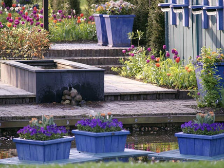 Masculine Statement – trend för våren 2025: plantering med kraftfulla inslag och strukturell form i manliga blå toner, neutrala nyanser, svart, vitt och silver, robusta krukor, mässing/järn och skulpturala, arkitektoniska växter