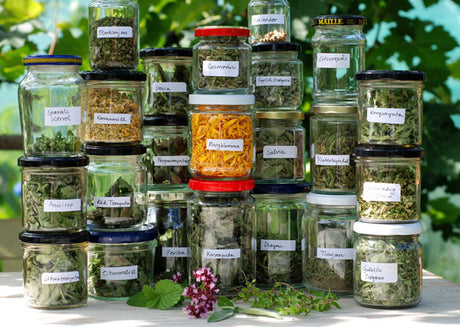 Monikas självhushållning – kryddskåp 2.0 med torkade bönor, kryddor, syrad kål och vintersquash; odla vintersquash, skörd och lagring; recept på Uchikikladdis i långpanna och rostade squashfrön.