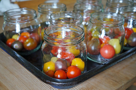 Monikas självhushållning: inkokta tomater i glasburk med vitlök och örter – körsbärs-, pasta- och bifftomater för konservering, torkning och tomatsås i kök och trädgård