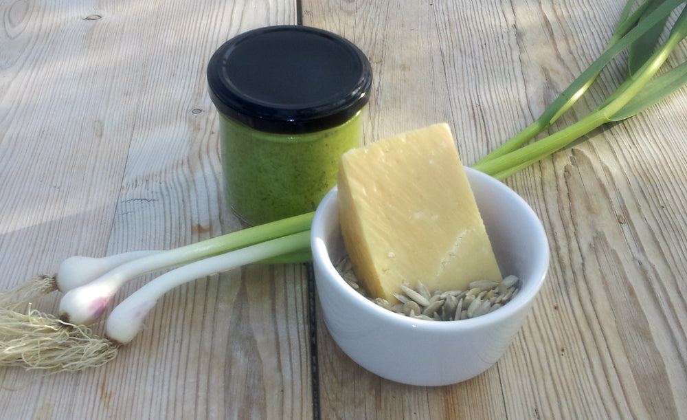 Vitlökspesto av vitlöksblast – självhushållning och odling från det gamla grönsakslandet. Recept med solrosfrön, rapsolja och parmesan/getparmesan. Monika Hulthe.