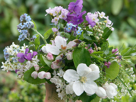 Mors dag i Sverige – självplockad morsdagsbukett med vårblommor som smörblommor, förgätmigej och vitsippor i vacker vas, plockad med kärlek i maj