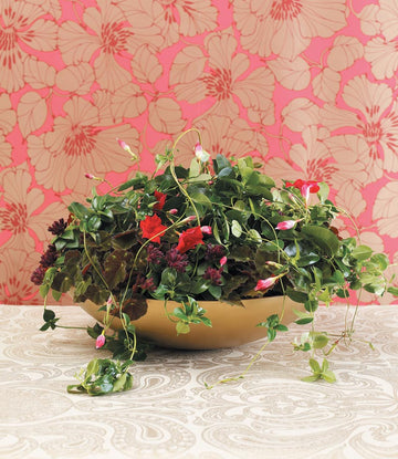 Aktuella trender och säsongsinspiration: Nature Nouveau-inspirerad Dipladenia (bägarranka) för mors dag – blommande slingerväxt i Art Nouveau-stil, trendig vår- och sommarpresent.