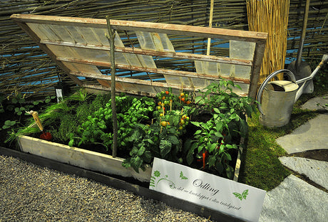 Odling som del av kretsloppet i trädgården – Nordiska Trädgårdar, hållbar fritidsodling och den ätbara trädgården med nya oväntade kombinationer och inspirerande kollisioner.