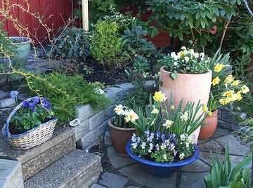 Påskarrangemang vid trappan med vårblommor i rosa, lila, blått och vitt, pärlhönsfjädrar och urblåsta vaktelägg – kreativt påskpynt och blomsterarrangemang för trappa och altan.