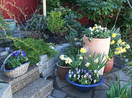 Påskarrangemang vid trappan med vårblommor i rosa, lila, blått och vitt, pärlhönsfjädrar och urblåsta vaktelägg – kreativt påskpynt och blomsterarrangemang för trappa och altan.