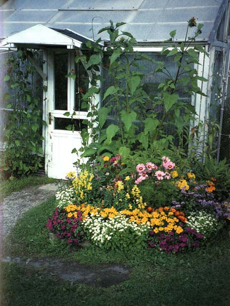 Plantering i sand med gräsklipp som gödsel enligt Nils Åkerstedt – ekologisk odling i jord och sand för trädgårdsland, rabatter och växthus.