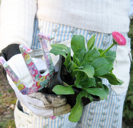 Samplantering med tusensköna (Bellis perennis) i kruka med pärlhyacint, kungsängslilja och primula – fyllda blommor i vitt, rosa och mörkrött; färgrik, långblommande vårplantering för tidig vår inomhus, uterum eller trappa.
