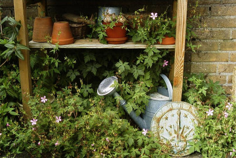 Trädgårdsredskap vid ladan – spadar, krattor och vattenslang – för Ny på landet-drömmar och att-göra-listor: odla majs, rosor, bärbuskar, äppelträd, växthus, jordkällare, ved och kompost.