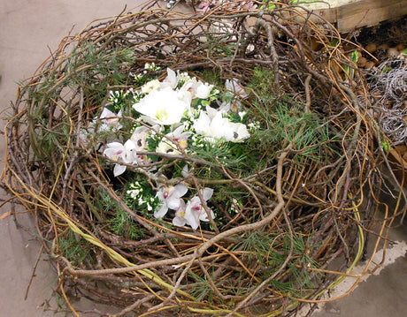 Stämningsfull riskrans med amaryllis och orkidéer – julens blomsterarrangemang för advent; pynta hem och trädgård i december med säsongens blommor.
