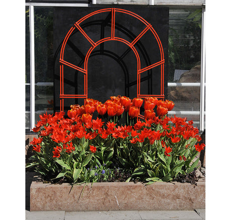 Skissa och planera höstens lökplantering i rabatt med vårblommande lökväxter – tulpaner, narcisser och krokus – i väldränerad jord; plantera i grupper, rätt djup och tillsätt benmjöl för rik vårblomning.