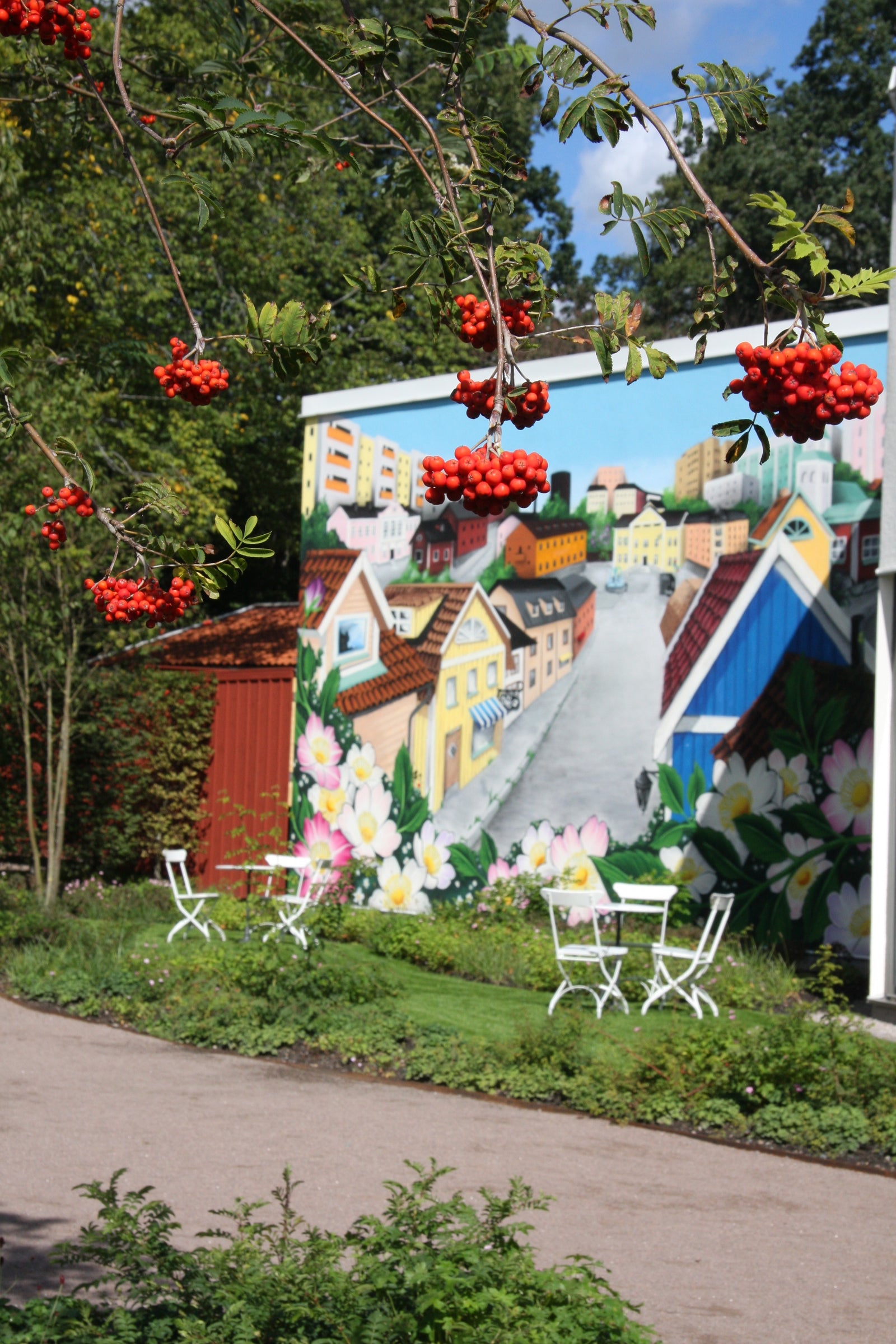 Rönnbär i september i ett trädgårdsrum med nyponros och rönn – rosenträdgård på Astrid Lindgrens Näs med höstfärger, ätliga bär och biologisk mångfald