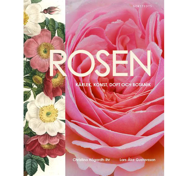 Rosor i bildkonsten – hyllning till rosen: rosens historia, rosgrupper (Alba-gruppen), rosens doft, floristkonst och rosor i textilkonst.