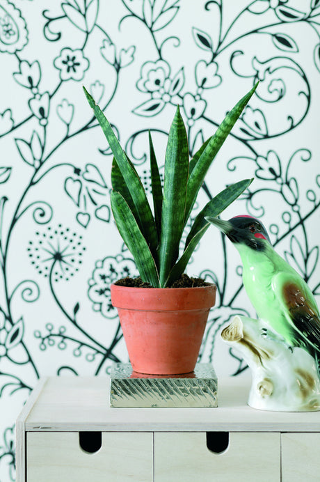 Svärmorstunga (Sansevieria) – trendig, luftrenande och lättskött krukväxt i modern inredning, med upprättstående grönrandiga blad; ideal i sovrum och vardagsrum, sorter som Laurentii och Moonshine; ljus placering och sparsam vattning.