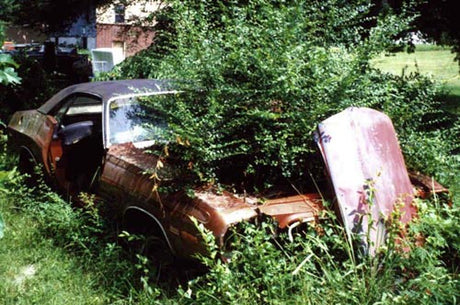 Skrotbil på ovårdad tomt som förfular omgivningen – grannjuridik enligt Jordabalken, Plan- och bygglagen (PBL) och Miljöbalken; kommunen/byggnadsnämnden kan ingripa mot bilvrak och skrot hos grannen.