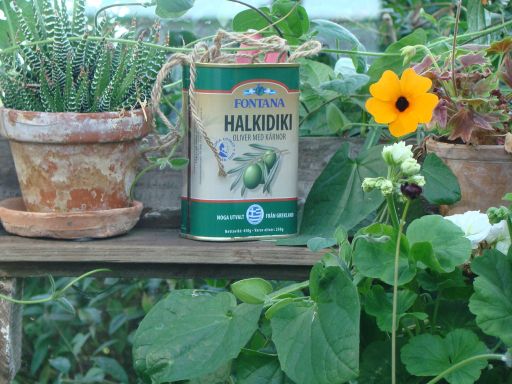 Snyggt krukarrangemang på balkong/uteplats i höst – perenner i krukor och utemöbler; inspiration för att reflektera och planera trädgård och balkong.