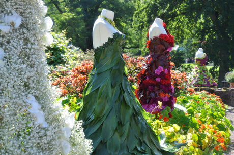 Trädgårdsdagarna på Sofiero slott och slottsparken i Helsingborg – Konst i naturen med idéträdgårdar, trädgårdskonst, hållbarhet, workshops, lokala producenter och Trädgårdsköket, 14–24 augusti 2025.