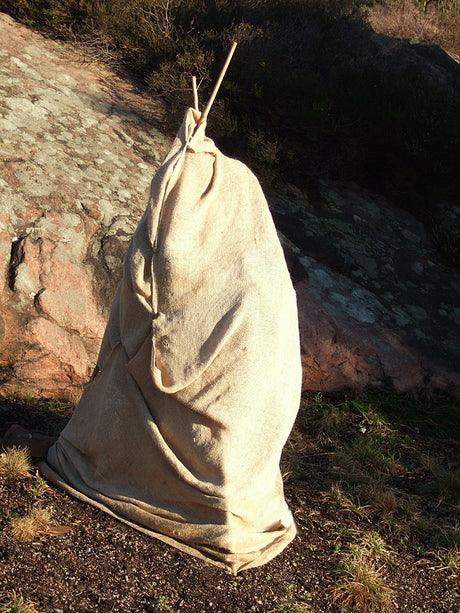 Solskydd på vårvintern för städsegröna växter – skydda tuja och rhododendron mot tjältorka och frystorka med vinterskyddsväv, skuggväv, granris och juteväv.