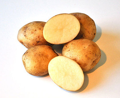 Förgro potatis till midsommar: statskontrollerad sättpotatis med korta groddar i äggkartong vid ljust fönster, redo för utplantering i pallkrage eller hink på balkong; välj bladmögelresistenta sorter och följ växtföljd.