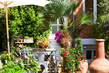 Medelhavsinspirerad terrass med rustika krukor, bougainvillea, hibiskus och bägarranka samt utomhuspalmer (Trachycarpus wagnerianus) – sydländsk stämning och sommarkänsla