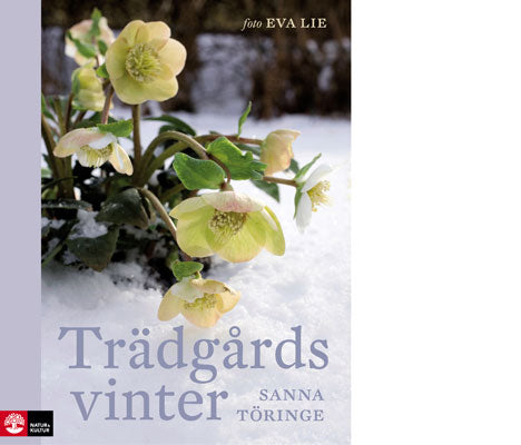 Trädgårdsvinter – inspiration för vinterträdgård: rimfrost, vintergrön skönhet och stillhet. Bok av Sanna Töringe, foto Eva Lie; växtlistor, praktiska råd och odling året om.