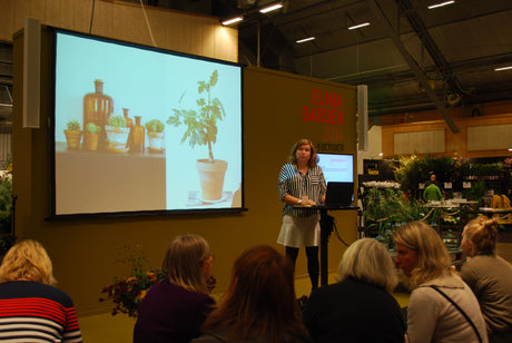 Elmia Garden trädgårdstrender 2024 – Hotellkänsla, Sagosommar och Välkommen till tropikerna med gröna växter, tropisk djungel, egenodling och hållbar trädgårdsinspiration